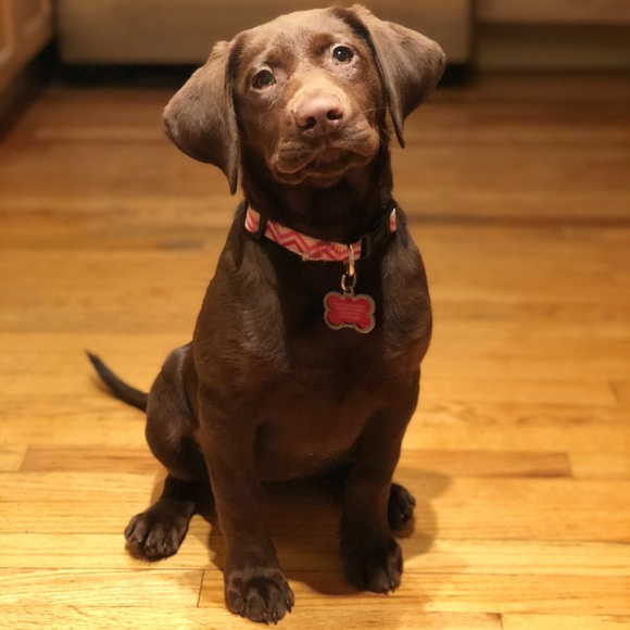 Hi there - Picture 2 of 2